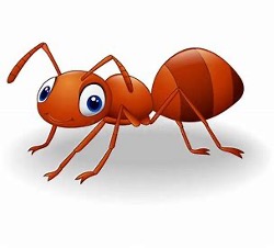 Fourmis symbolique signification
