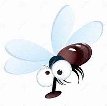 Mouche symbolique signification