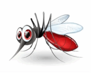 Moustique symbolique signification
